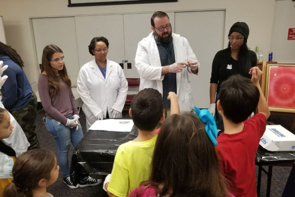 1-27-18-science-in-the-city-dissections-workshop-at-miami-lakes-library-31 Exploring Parallels Between Animal and Human Anatomy STEM Workshop at Miami Lakes Library
